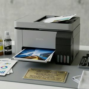 Domésticas y Ecotank