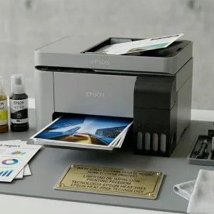 Domésticas y Ecotank